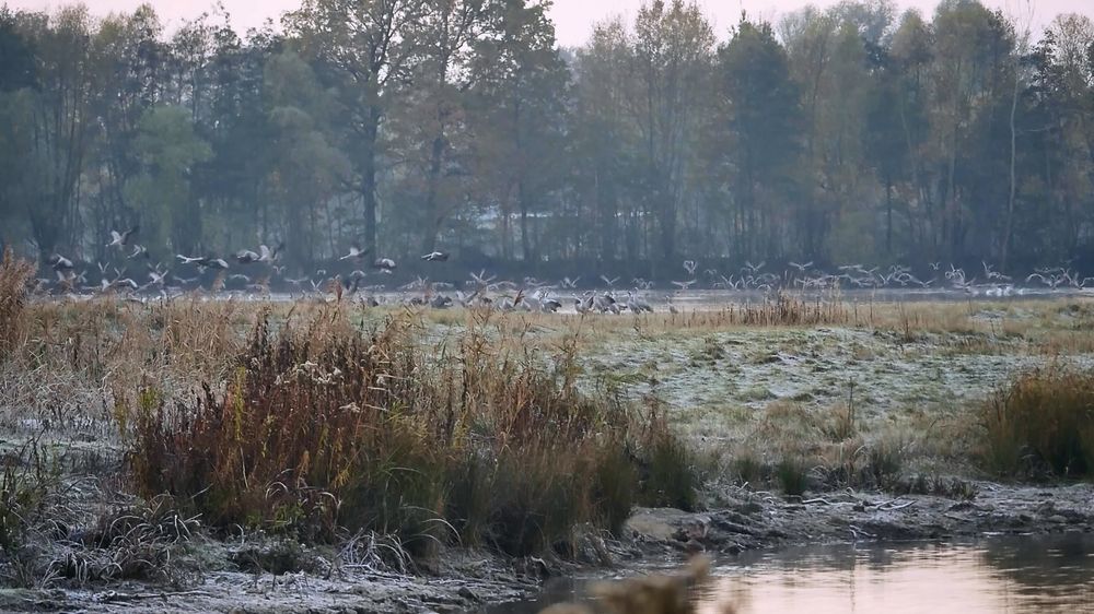 Winterlandschaft