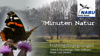 Video: Frühlingsbegegnungen