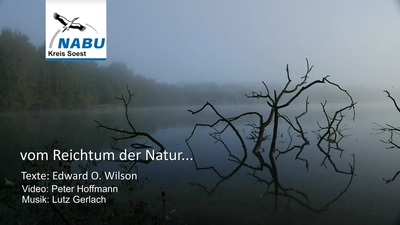 Videotitel: Reichtum der Natur